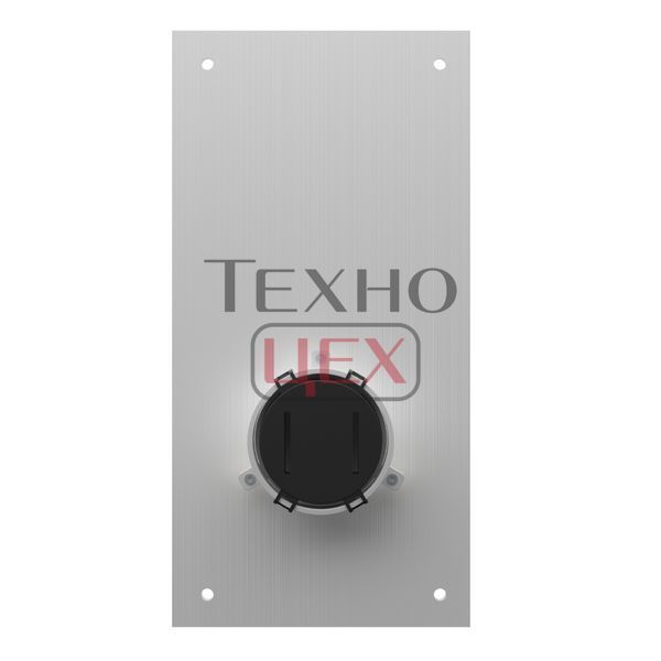 Безконтактний дверний дзвінок BAS-IP SH-46T silver 302846 фото